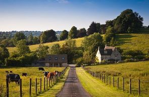 rural_top_295_192_jpg_5_80.jpg