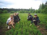 lesnaya_skazka_3_160_120_jpg_5_80.jpg